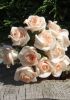 foto: Pěnová růže svazek 12 ks ORANŽOVÁ