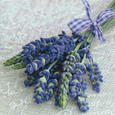 foto: Ubrousek 33 x 33 cm PROVENCE