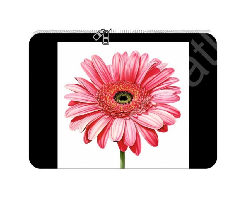 Kapsička GERBERA
