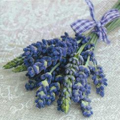 foto: Ubrousek 33 x 33 cm PROVENCE