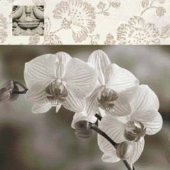 foto: Korkové prostírání ORCHIDEJ malé