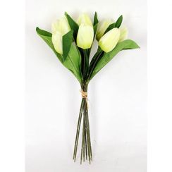 foto: Pugét tulipánů 9 ks BÍLÁ