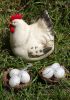 foto: Dekorace HNÍZDO  s vajíčky