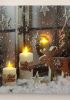foto: Vánoční LED SVÍTÍCÍ obraz SOBÍK
