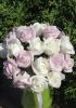 foto: Pěnová růže svazek 12 ks FIALOVÁ